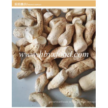 Wholesale Dried Shiitake Mushroom Foot/Stem